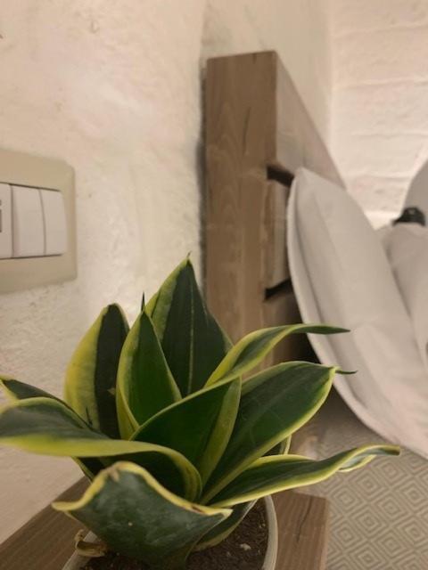פאסאנו Boutique Room One מראה חיצוני תמונה